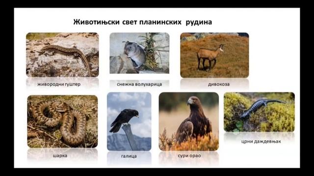 ОШ8 – Биологија, 30. час: Травни екосистеми (обрада) смотреть онлайн