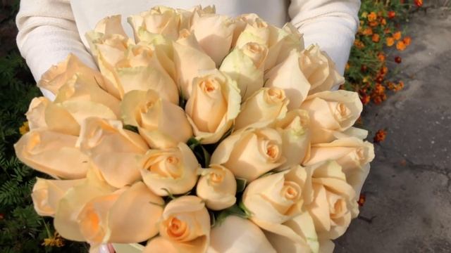 Композиция "Дамские Щёчки" смотреть онлайн