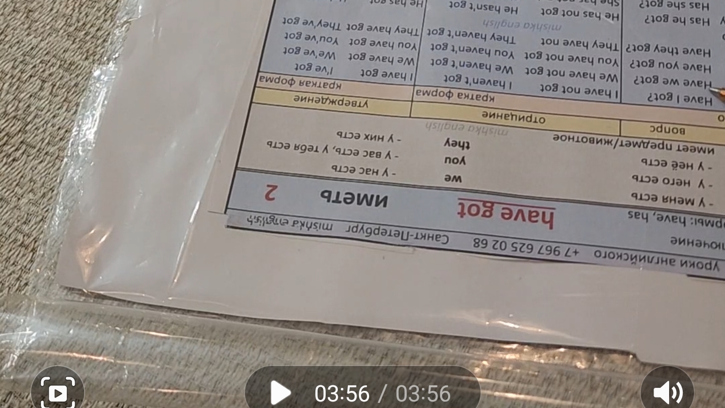 английский 3 класс, урок, have got , понятное обьяснение по таблице ,have got has got, have I got me