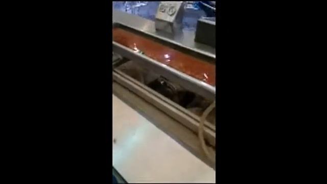 PE/HDPE/ LDPE/ PP WPC decking profile extrusion machine, PE WPC flooring profile extrusion machine смотреть онлайн