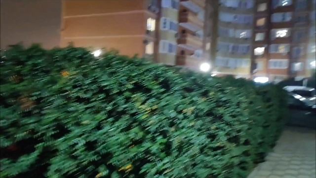 Вечерняя прогулка по новогодним улицам Краснодара. смотреть онлайн