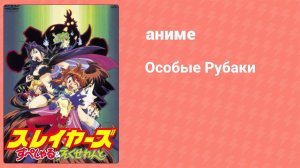 Особые Рубаки 2 серия (аниме-сериал, 1996)
