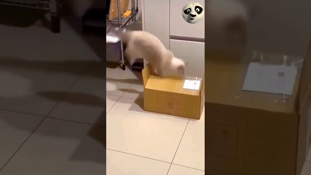 Корпорация Юмора - Видео Корпорация Юмора смотреть онлайн