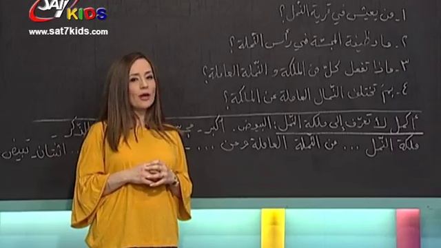 SAT-7 KIDS - My School مدرستي S3/E62 - Arabic Segment - فقرة العربي смотреть онлайн