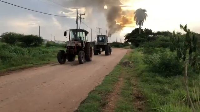 Regateo/gato mtz 80 contra yumz aquí le dejo la verdad sobre qué tira más 💪 смотреть онлайн