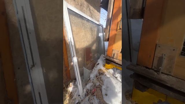 Самое редкое место в мире - приют для птиц ! Самарская область ! Эх, выделил бы им кто 2-3 млн ! смотреть онлайн