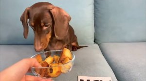 Фу или Ням??? || Чипитоси