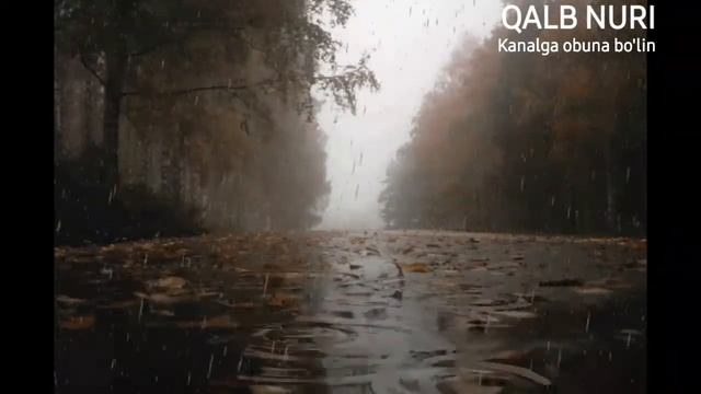 Hikoya Toshni Tegan Tomchilar#Sher #Xadislar#Hadislar#Rivoyatlar#Maruzalar#Ilmnuri#Shukurulloxdomla