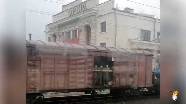 2022 10 11 Повесть о дворцах и свинарниках смотреть онлайн