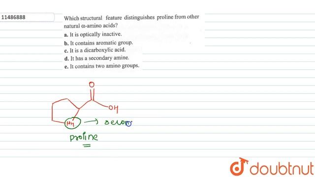 Which structural feature distinguishes proline from other natural alpha-amino acids? | 12 | BIOM... смотреть онлайн