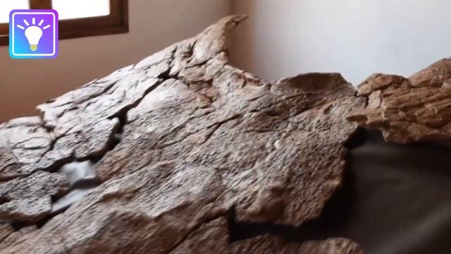 Biggest Turtles Ever Discovered смотреть онлайн