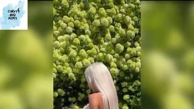 Kate Kirienko Curvy Model | Body Positivity | Fashion Nova | Curvy Fashion Model | Wiki, Biography