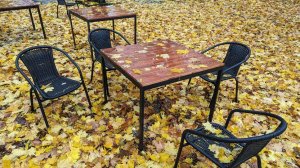 Осенняя грусть