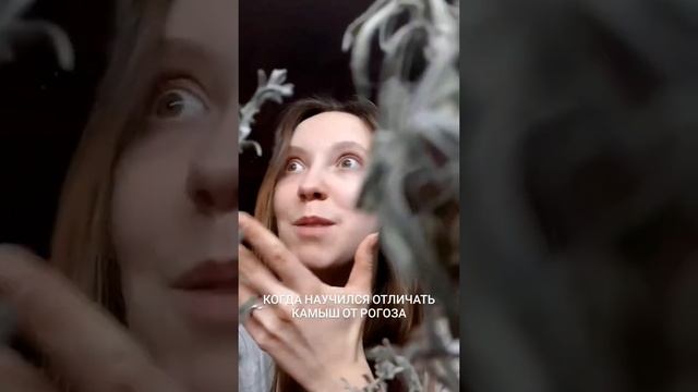 BIOLA | биология | егэ | ботаника смотреть онлайн