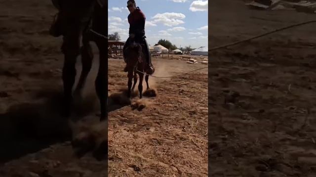 Сальто с дикой лошади👍 два раза это упражнение делай,спина не будет болеть 💪 смотреть онлайн