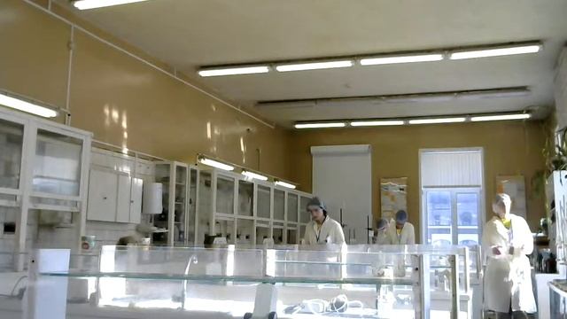 РЧ "Профессионалы" "Лабораторный химический анализ" (юниоры) 22.03.2024-2 смотреть онлайн