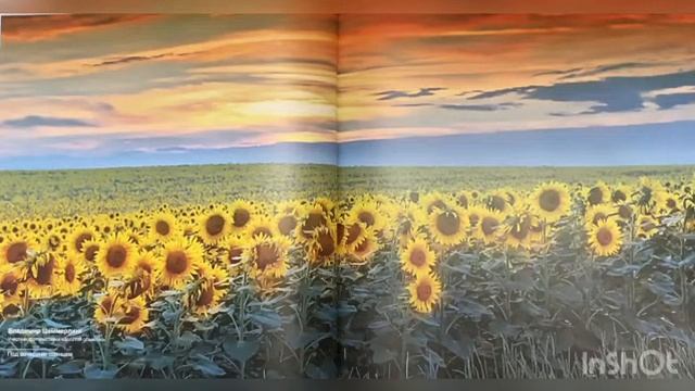 Онлайн-обзор «Фотоальбом «Кубань, воспетая мгновеньем» смотреть онлайн
