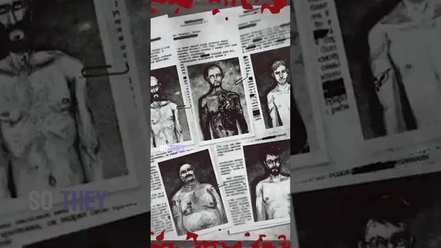 the horrifying russian sleep experiment смотреть онлайн