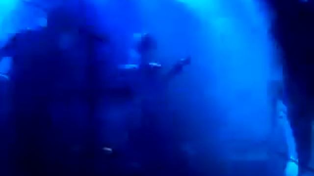 CSS (live @ Maria in Berlin) смотреть онлайн