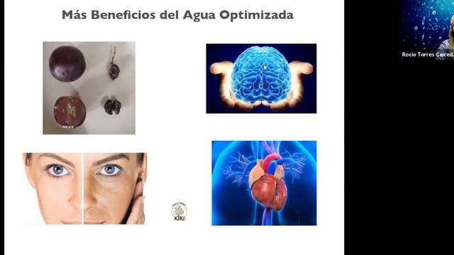 Beneficios de optimizer de nikken смотреть онлайн