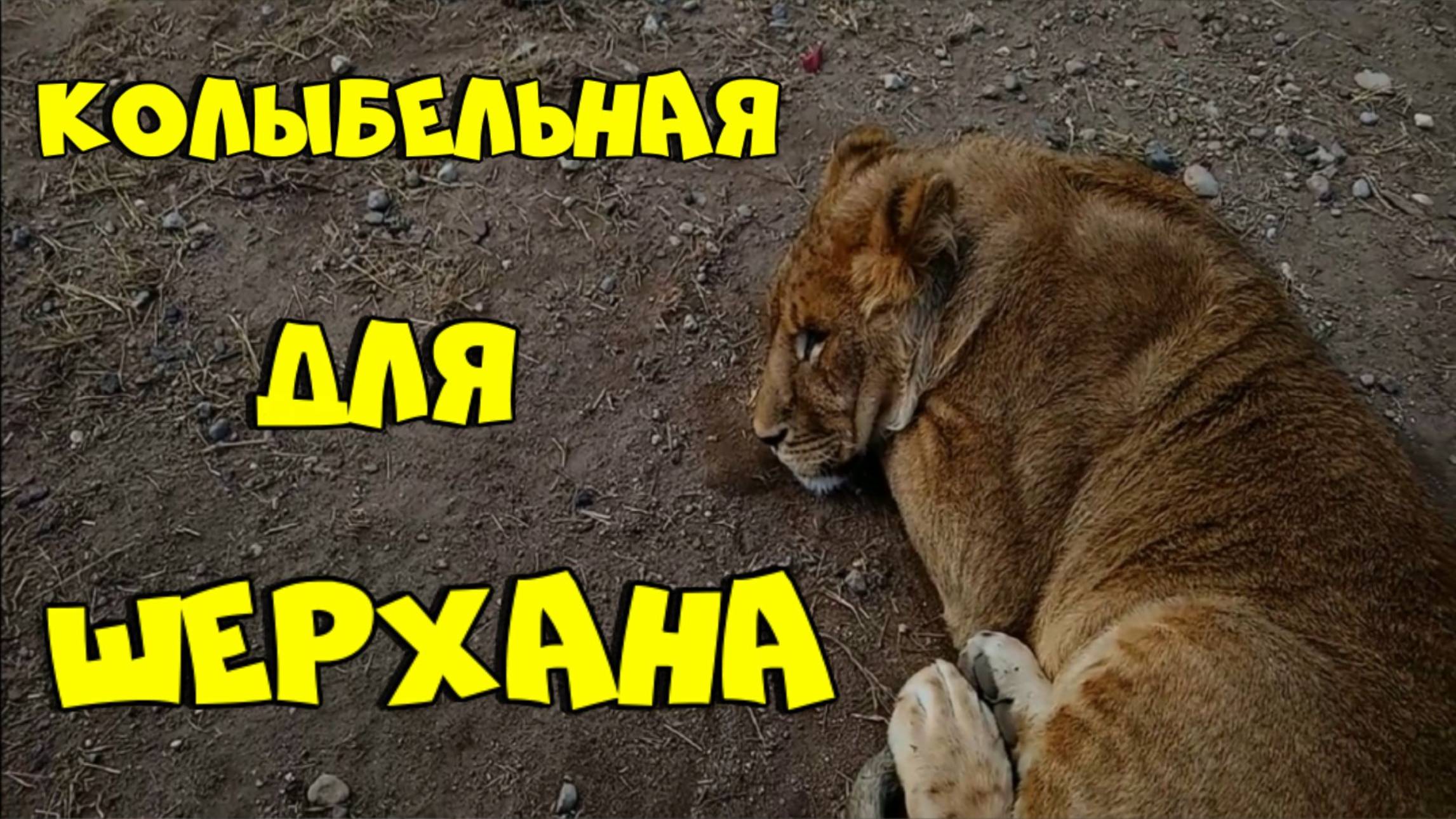 Колыбельная для ШЕРХАНА. смотреть онлайн