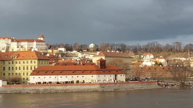 Un giorno nella vita di una BALLERINA a Praga🩰 Cosa mangio VEGAN🌱 Ricette, esami, tesi di laurea🎓 смотреть онлайн