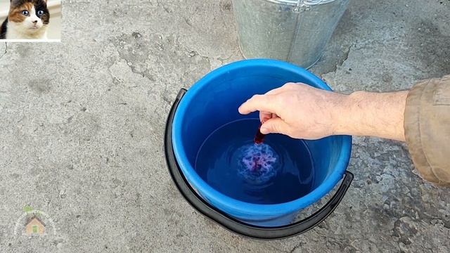 Обработка сада весной Алатаром от вредителей