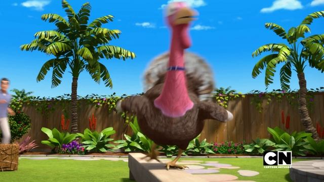 Problemas Con El Pavo | Barbie: It Takes Two | CARTOON NETWORK