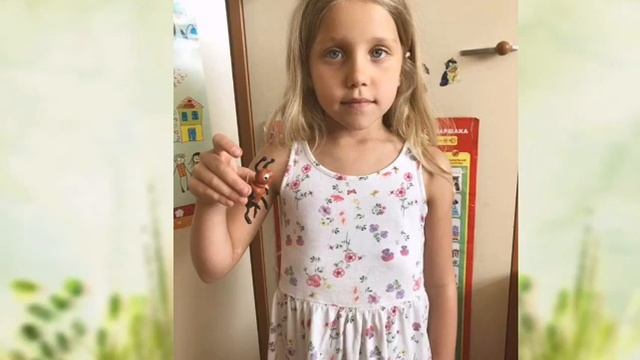 Неделя "Насекомые" смотреть онлайн