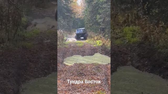 9 октября 2023 г. смотреть онлайн