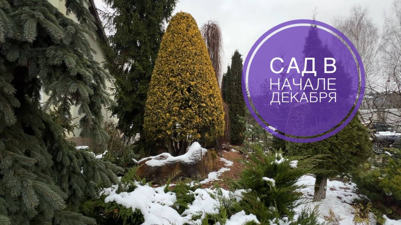 Прогулка по саду в начале декабря смотреть онлайн