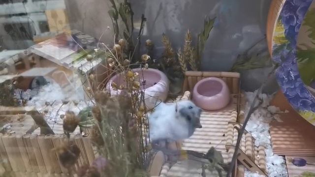 1000341617.mp4 смотреть онлайн