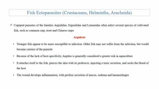 Fish Ectoparasites (Argulosis) смотреть онлайн