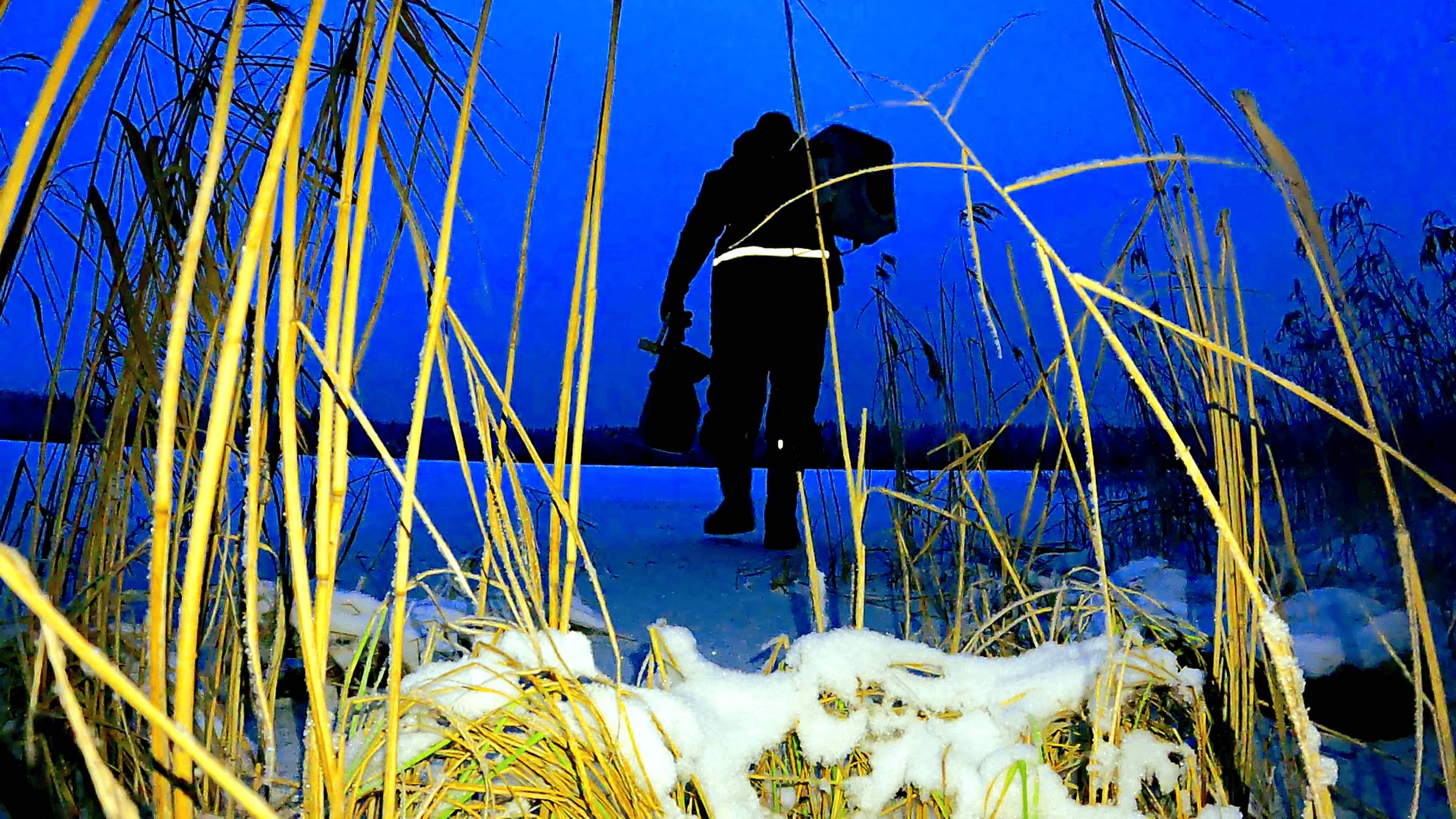 РЫБАК ЗАШЕЛ В ЛЕС НАШЕЛ ОЗЕРО И ОФИГЕЛ! Рыбалка в декабре 2024. Подводные съемки смотреть онлайн