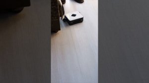 Маленькие помощники в мастерской