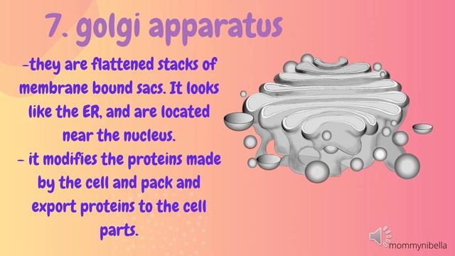 SECOND QUARTER-MODULE 4- PLANT CELL AND ANIMAL CELL-MELC смотреть онлайн
