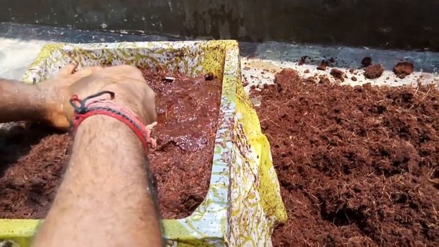 What is COCO Peat? How to use it смотреть онлайн