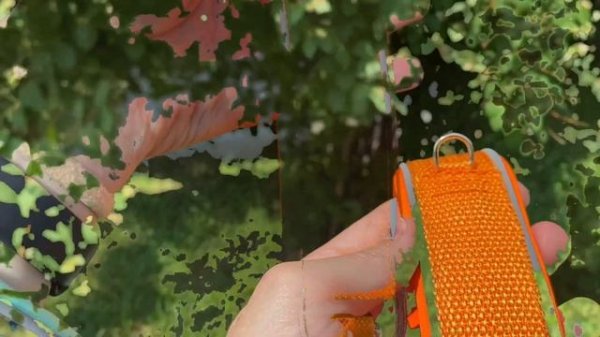 Ошейники MagWay с застежкой-фастексом