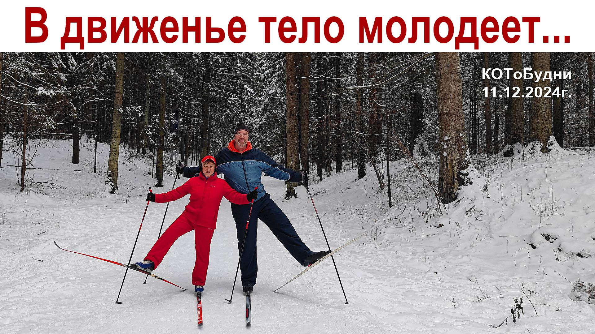 В движенье тело молодеет и набирает силу дух или КОТоБудни от 11.12.2024г. смотреть онлайн