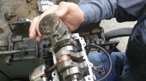 TOHATSU 9.8. Заводской брак или виноват владелец