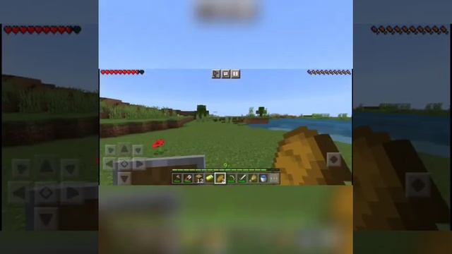 Minecraft I found new biom #5 смотреть онлайн