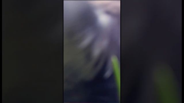 В Вологде все таки круто. Спокойный душевный город. смотреть онлайн