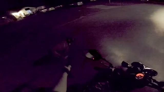 Honda Ruckus dog run смотреть онлайн