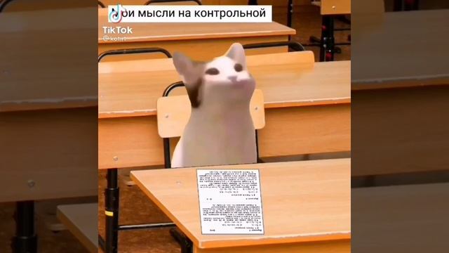 Чебузаврики ХЕ🤣 смотреть онлайн