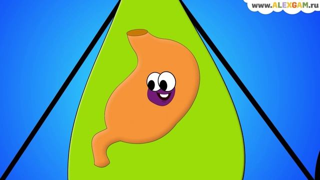 Что если мы проглотим жевательную резинку? смотреть онлайн