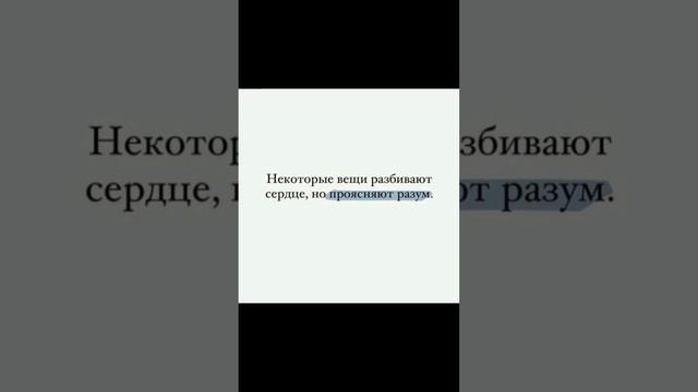 #цитаты #youtube #rek #fyl #video #reelsyoutube #рекомендации #fyp #цитата #цитатадня смотреть онлайн