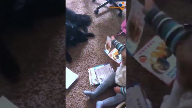 Перенос навыков Маша играет с кошкой и собакой смотреть онлайн