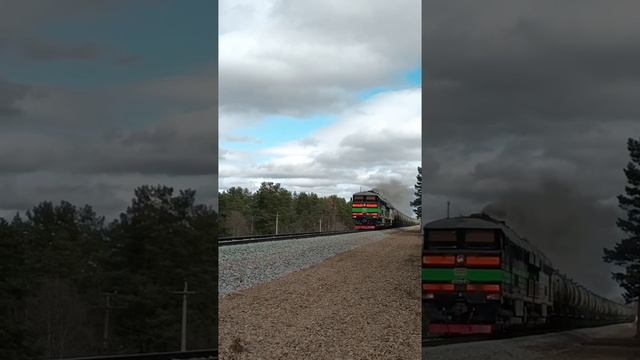 Чёрная мамба №2 смотреть онлайн