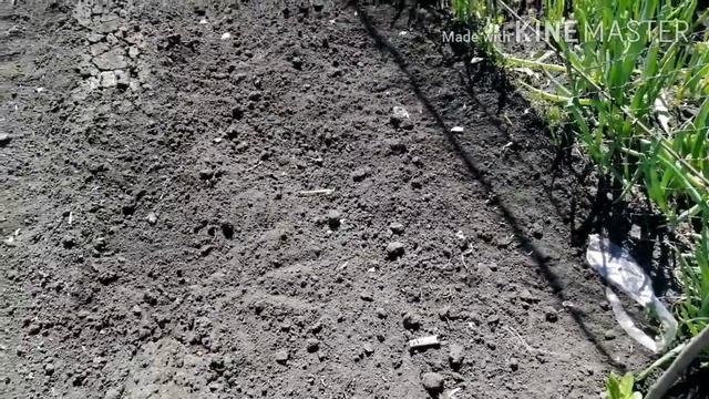 Не справляется. Жалко денег, но купила. Деревенская жизнь. смотреть онлайн