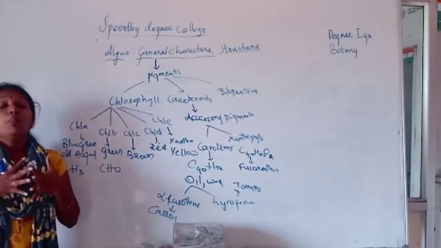 degree bot (19/11) смотреть онлайн